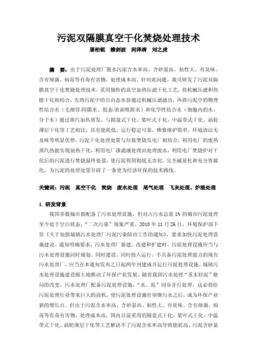 污泥双隔膜真空干化焚烧处理技术