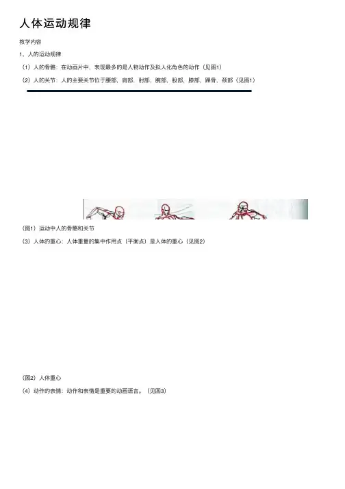 人体运动规律