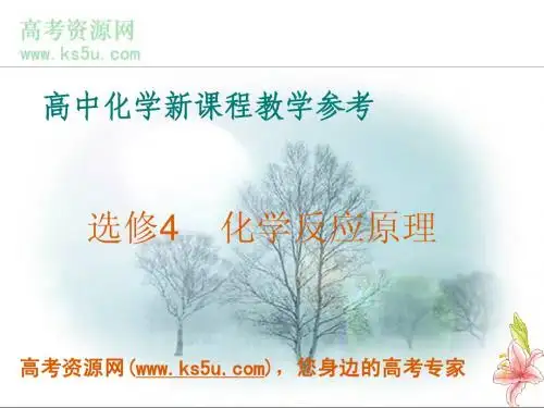 化学：《高中化学新课程教学参考——化学反应原理》课件(苏教版选修4)