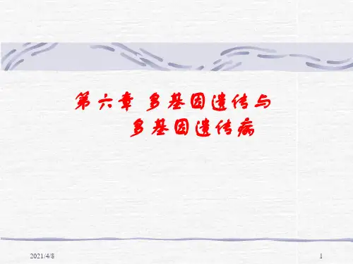 第六章-多基因遗传及多基因病