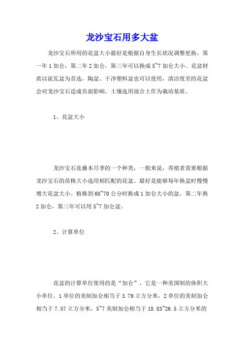 龙沙宝石用多大盆