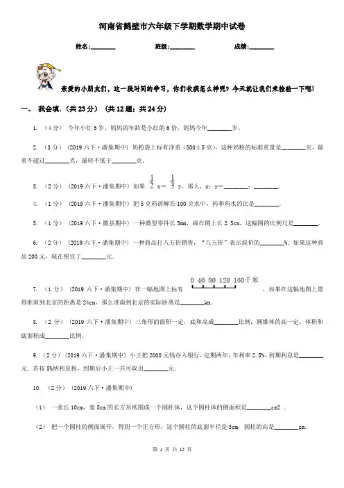 河南省鹤壁市六年级下学期数学期中试卷