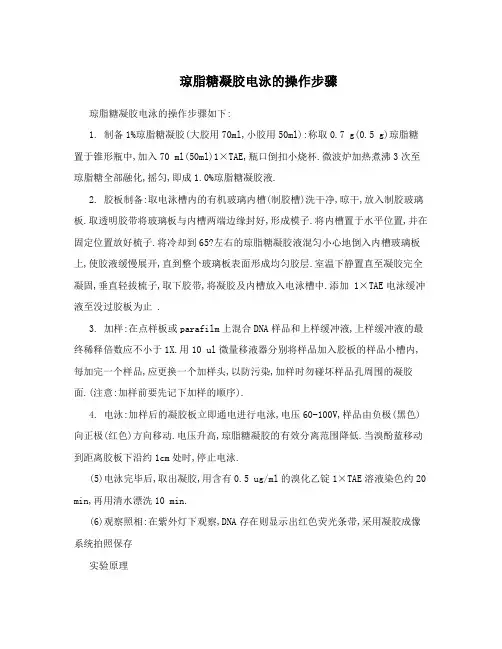 琼脂糖凝胶电泳的操作步骤