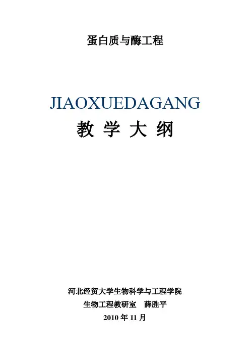 蛋白质与酶工程.