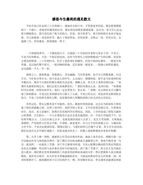 感恩今生最美的遇见散文