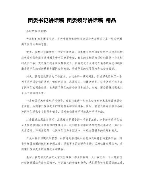 团委书记讲话稿 团委领导讲话稿 精品