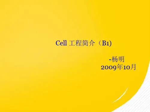 cell工程简介PPT资料