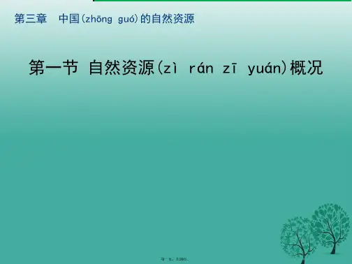 八年级地理上册3.1自然资源概况课件(新版)湘教版