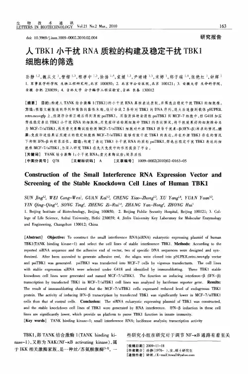 人TBK1小干扰RNA质粒的构建及稳定干扰TBK1细胞株的筛选