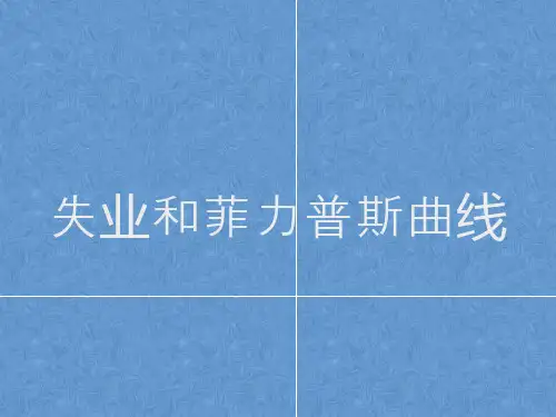 经济学原理失业和菲力普斯曲线