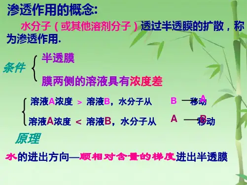 高中生物必修复习课件(共64张PPT)