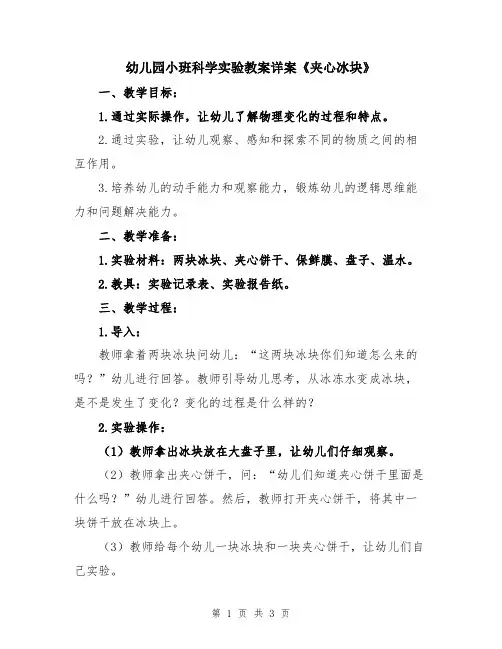 幼儿园小班科学实验教案详案《夹心冰块》