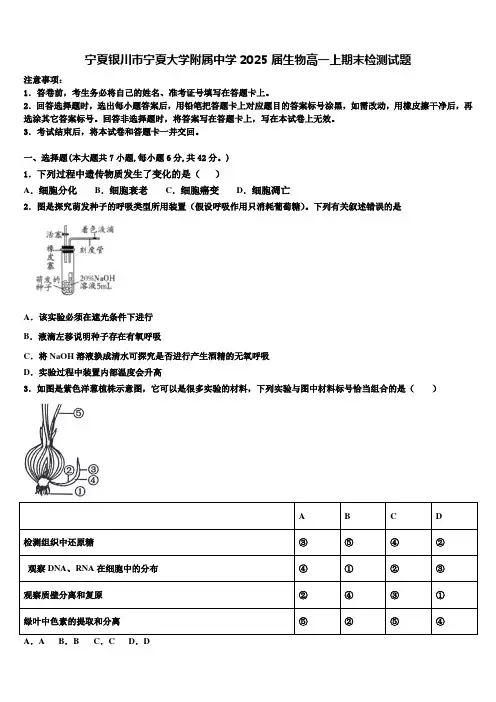 宁夏银川市宁夏大学附属中学2025届生物高一上期末检测试题含解析
