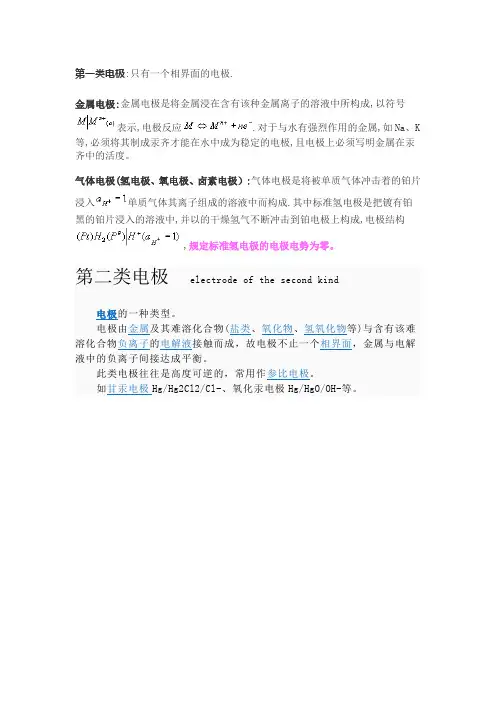 第一类电极