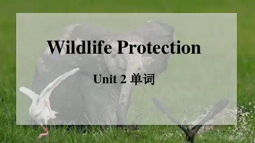 Unit2 Wild Protection单词课件 高中英语人教版必修第二册