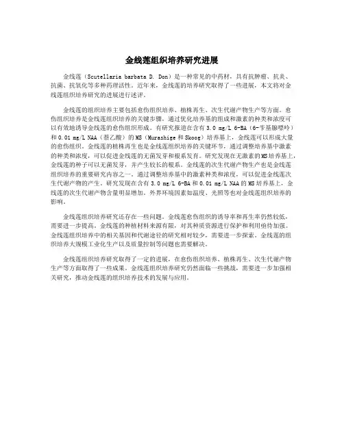金线莲组织培养研究进展