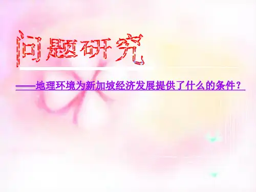 地理环境为新加坡经济发展提供了什么的条件(精)