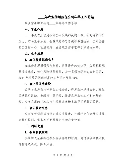 2024年农业信用担保公司年终工作总结