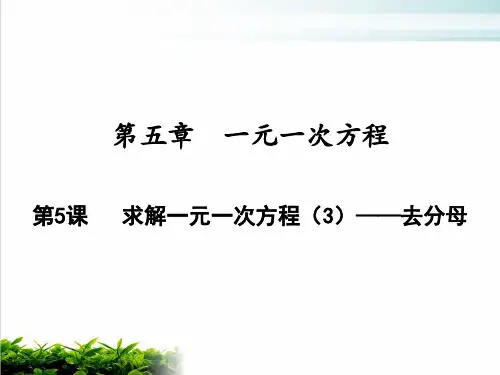 《一元一次方程》完美课件 人教版12