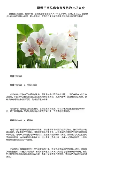 蝴蝶兰常见病虫害及防治技巧大全