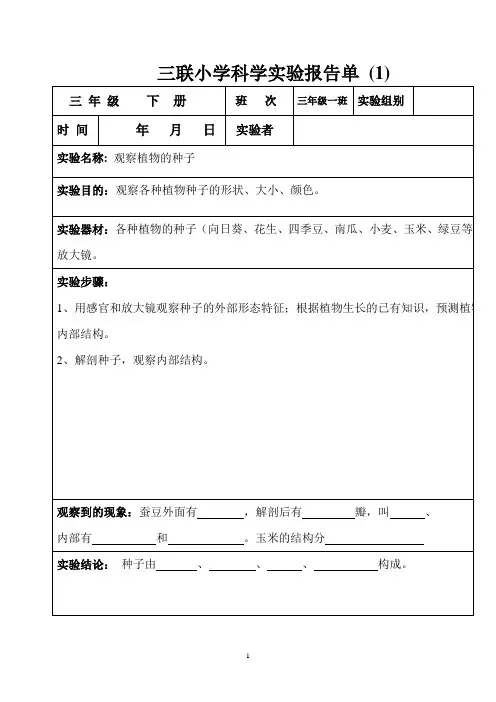 教科版三年级下册科学实验报告单