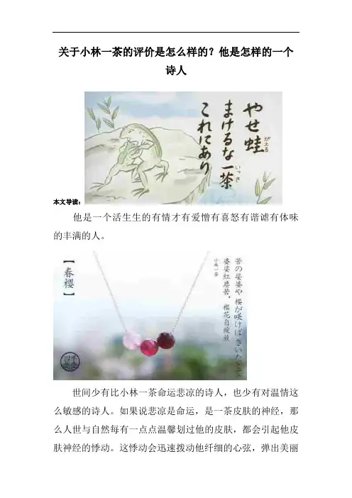 关于小林一茶的评价是怎么样的？他是怎样的一个诗人