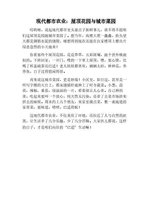 现代都市农业：屋顶花园与城市菜园