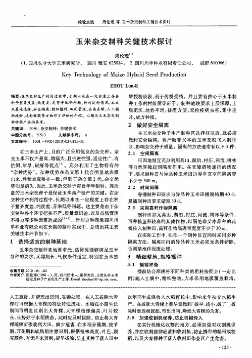 玉米杂交制种关键技术探讨
