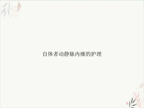 自体者动静脉内瘘的护理课件-PPT