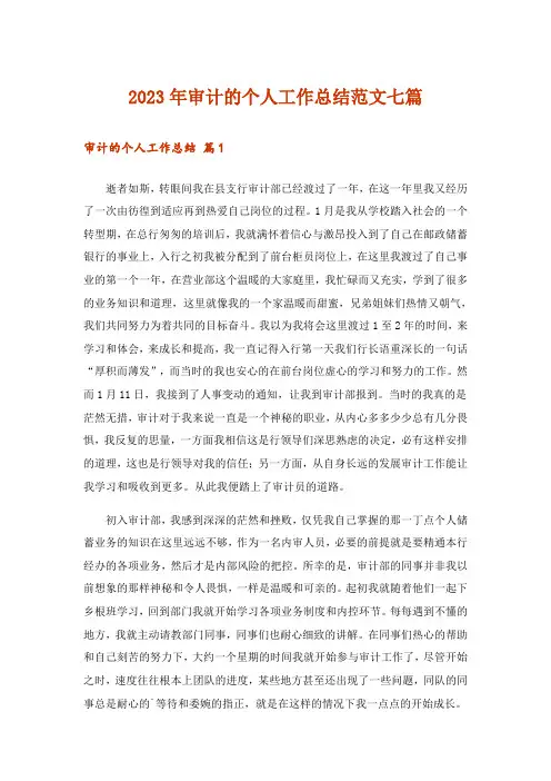 2023年审计的个人工作总结范文七篇_1