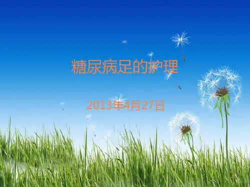 糖尿病足护理查房PPT课件