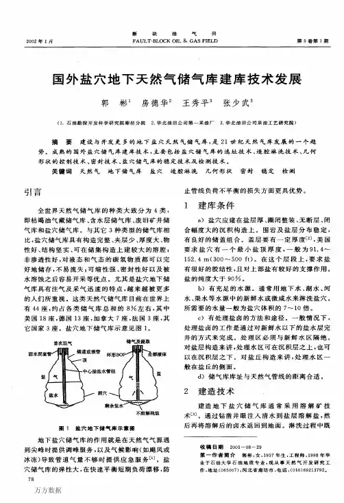国外盐穴地下天然气储气库建库技术发展