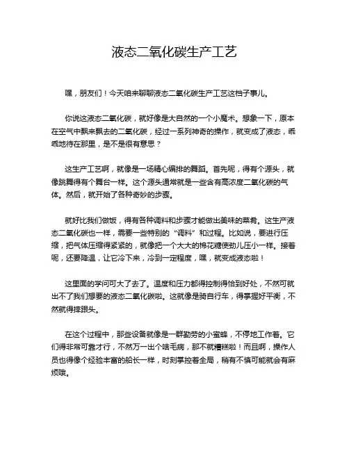液态二氧化碳生产工艺