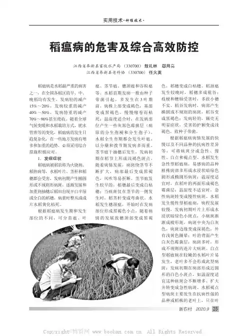 稻瘟病的危害及综合高效防控
