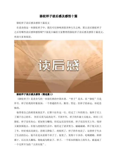 骆驼祥子读后感及感悟十篇
