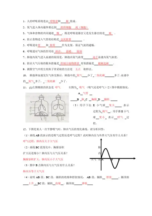 七年级生物上册 第三章知识点 人教新课标版