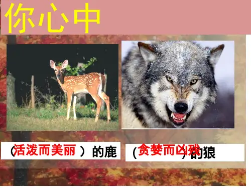 鹿和狼的故事-优秀课件-六年级语文上-人教版-PPT