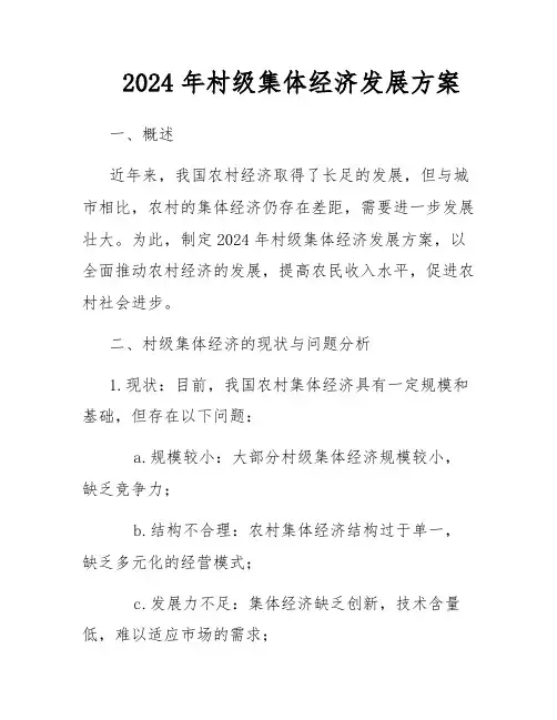 2024年村级集体经济发展方案