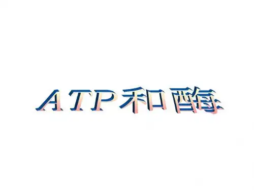 高一生物ATP和酶1(教学课件201908)