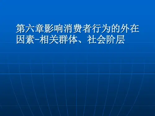 第六章影响消费者行为的外在因素-社会群体、社会阶层