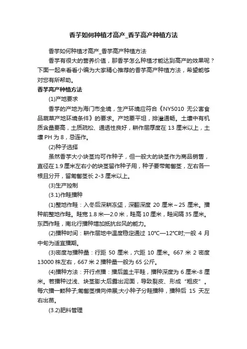 香芋如何种植才高产_香芋高产种植方法