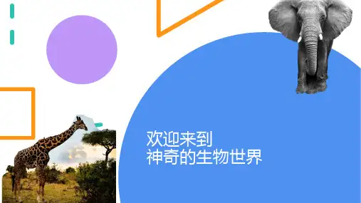 生物开学第一课ppt课件