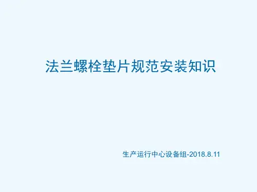 法兰螺栓垫片安装规范韩恒志 ppt课件