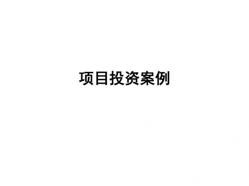 项目投资案例