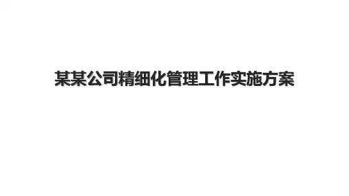 某某公司精细化管理工作实施方案.pptx