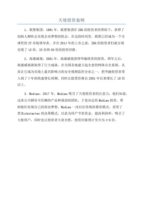 天使投资案例