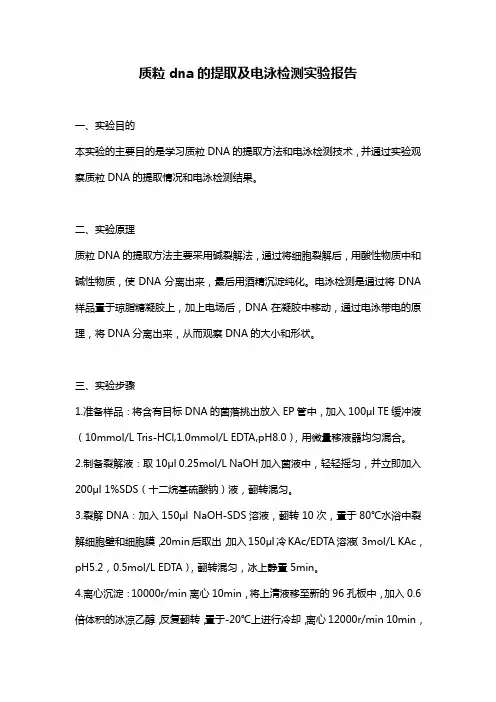 质粒dna的提取及电泳检测实验报告