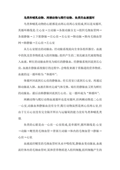    鸟类和哺乳动物、两栖动物与爬行动物、鱼类的血液循环