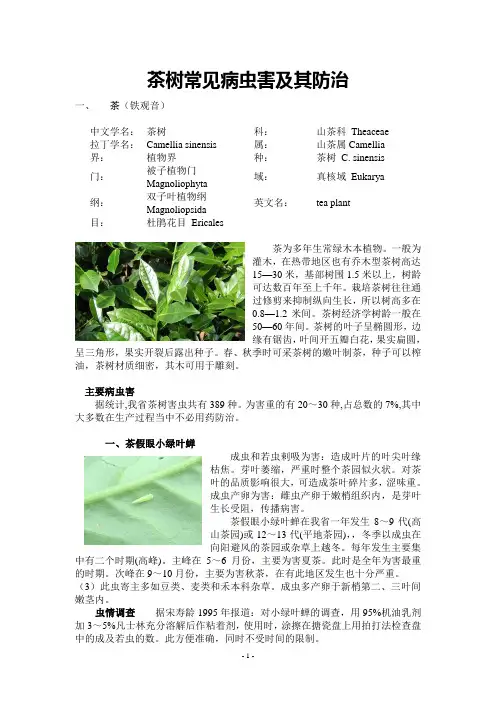 茶树常见病虫害及其防治