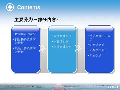 大桥的腐蚀与防护